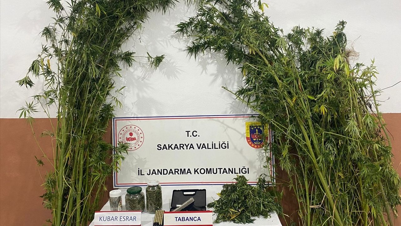 Sakarya'da Uyuşturucu Operasyonu: 36 Kilogram Esrar Ele Geçirildi