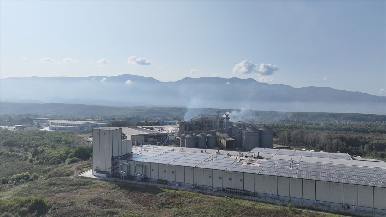 Sakarya'daki Makarna Fabrikasında Patlama: Soğutma Çalışmaları Devam Ediyor