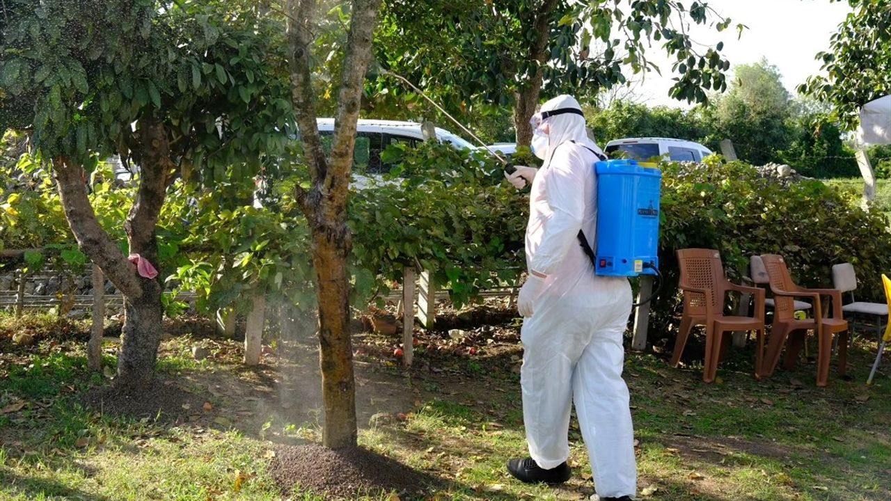 Samsun'da Çiftçilere Kahverengi Kokarca ile Mücadele Yöntemleri Anlatıldı