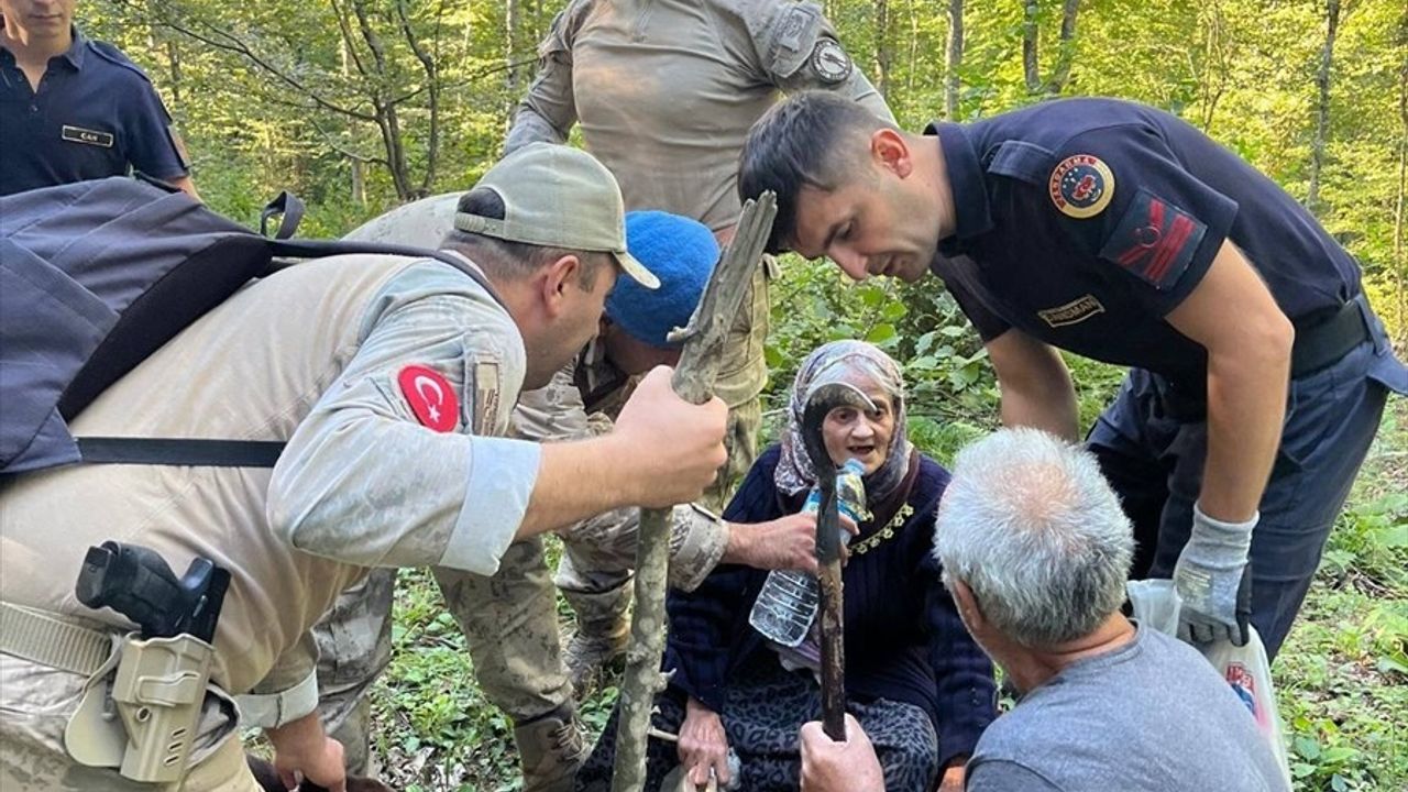 Sinop'ta Kaybolan Mantar Toplayıcı Kadın Ormanda Bulundu