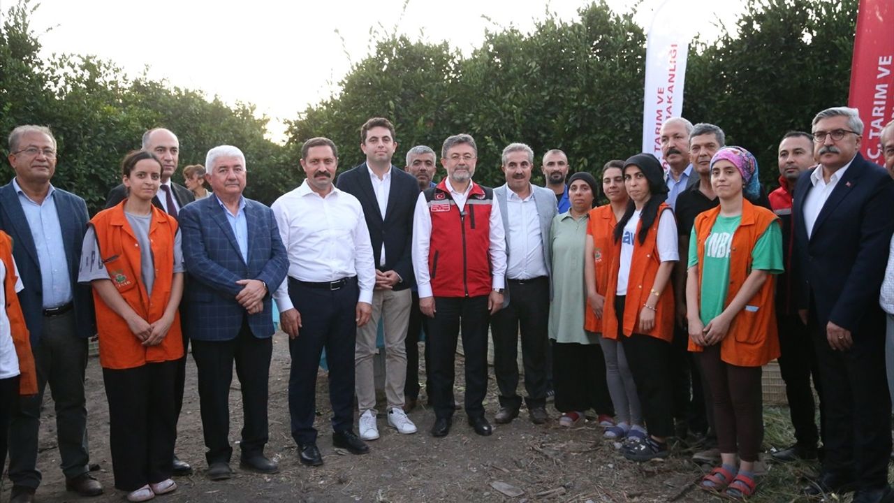 Tarım ve Orman Bakanı Narenciye Hasadında