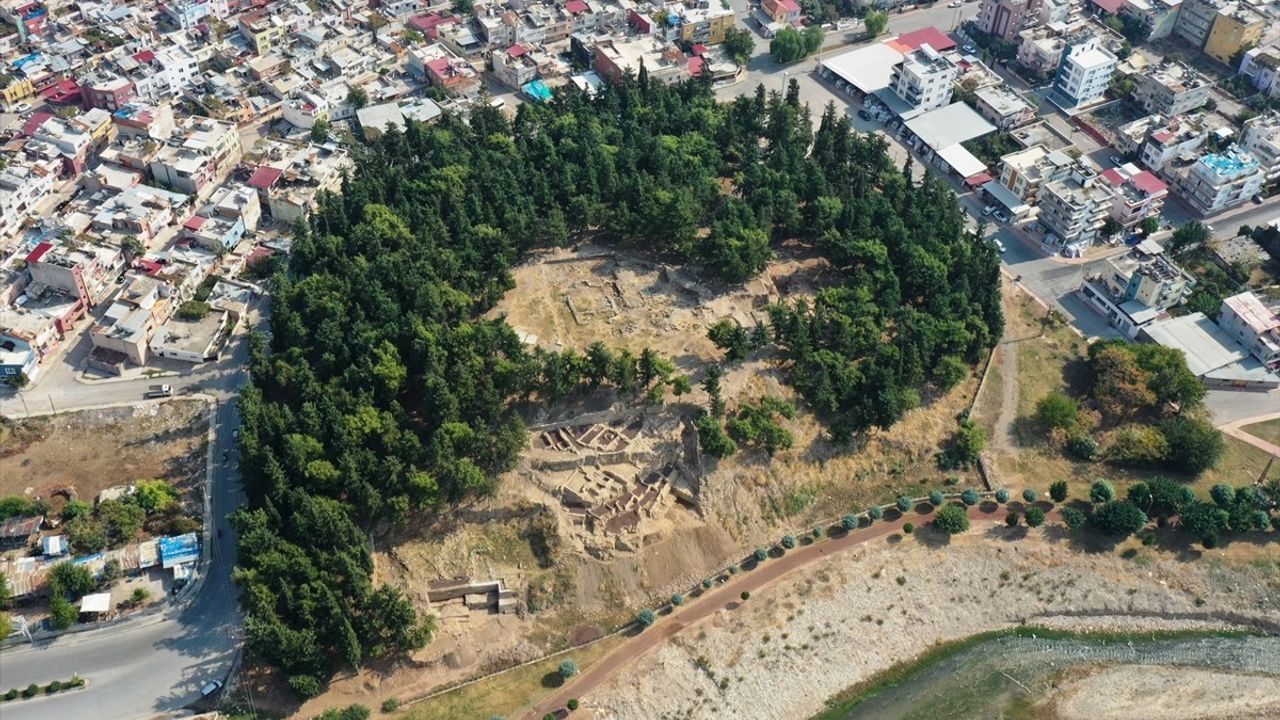 Yumuktepe Höyüğü'nde 9 Bin Yıllık İki Buğday Türü Tespit Edildi