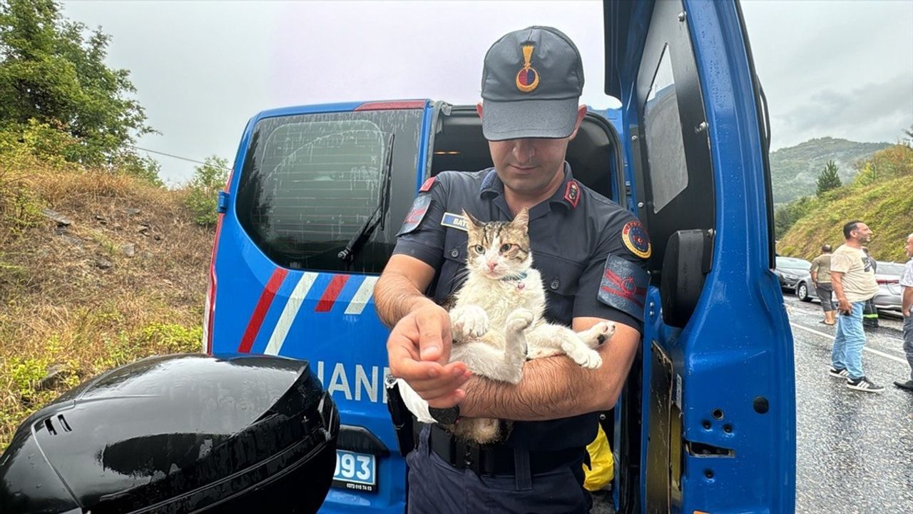 Zonguldak'ta Otobüs ve Kamyon Çarpıştı: 2 Ölü, 24 Yaralı