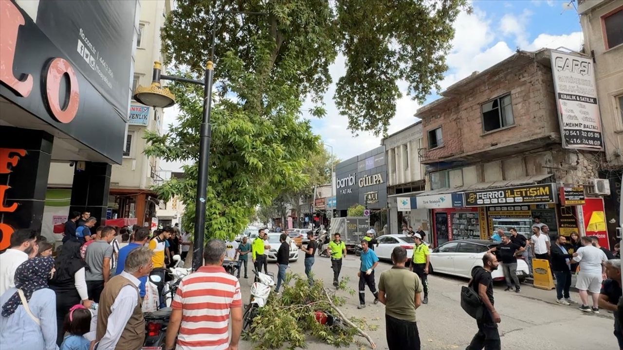 Adıyaman'da Rüzgar Dalına Yakalanan Motosiklet Sürücüsü Yaralandı