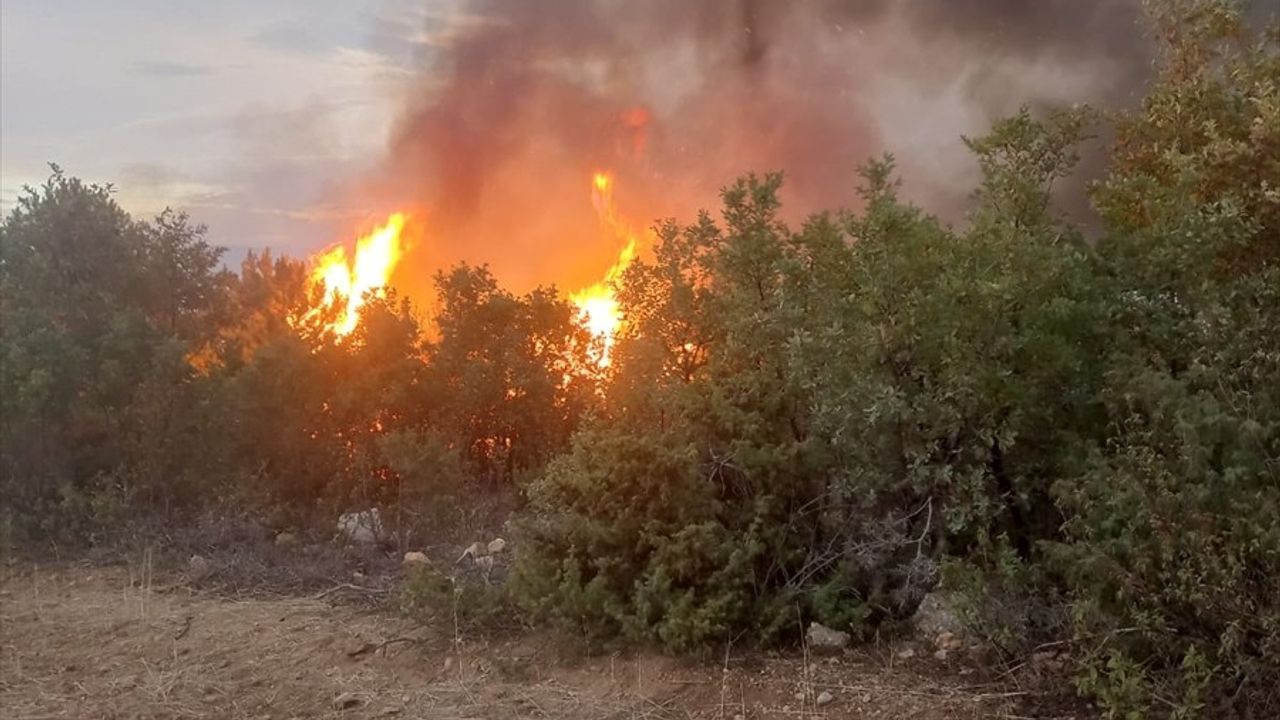 Afyonkarahisar'da Orman Yangınına Hızlı Müdahale