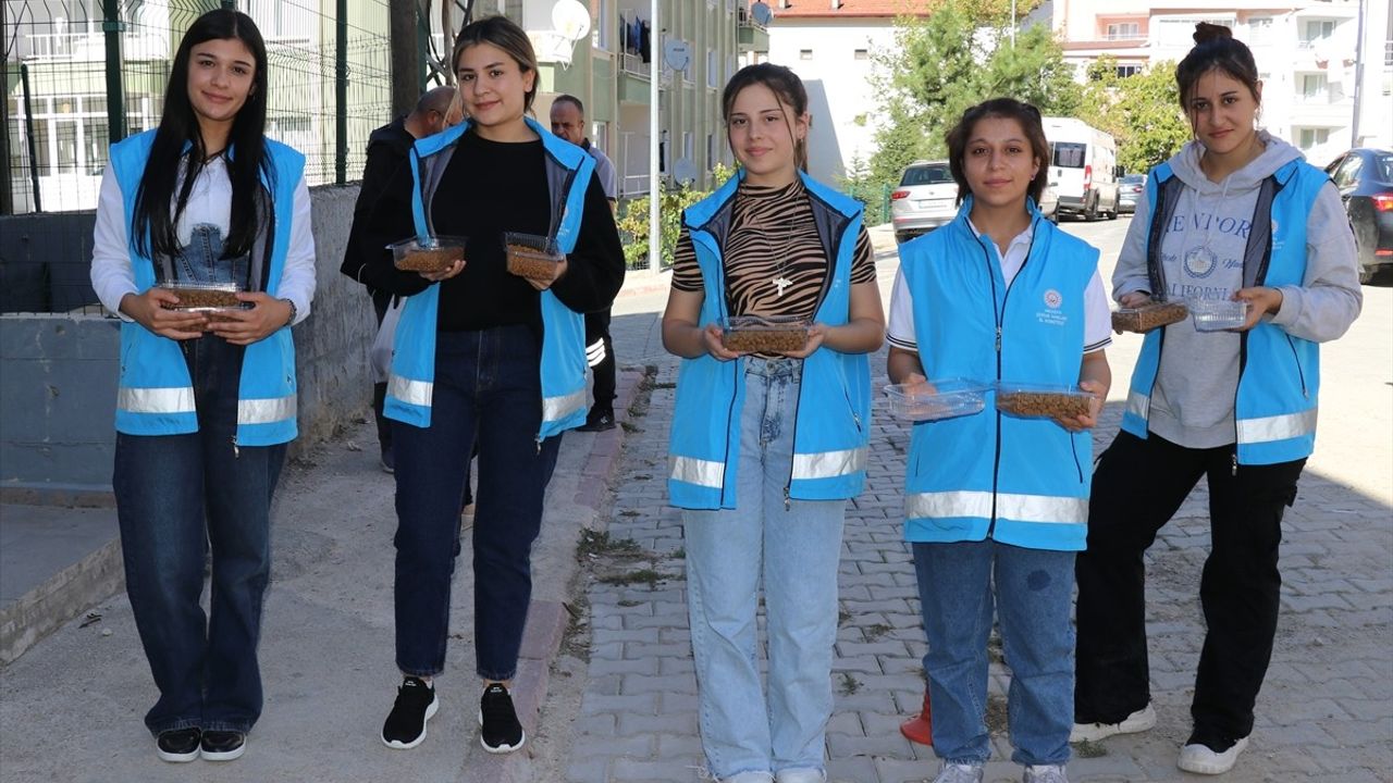 Amasya'da Öğrenciler Sokak Hayvanları İçin Mama ve Su Dağıttı