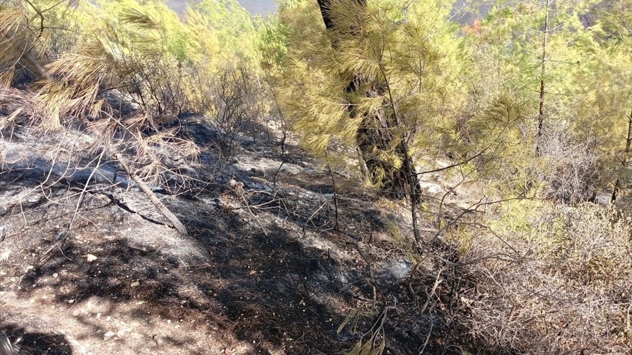 Antalya'da Orman Yangını: Yaklaşık 2 Hektar Alan Zarar Gördü