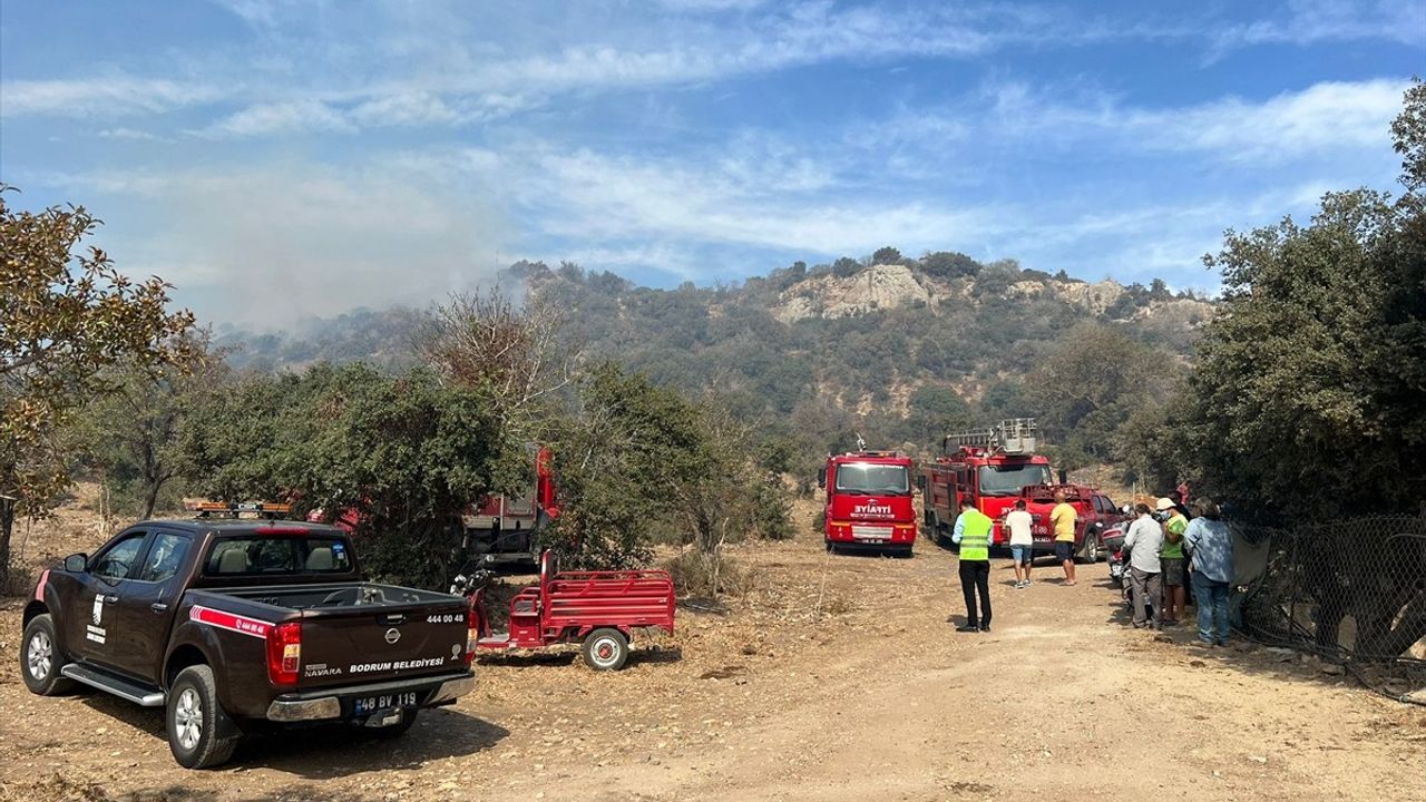 Bodrum'daki Yangında 5 Hektar Makilik Alan Zarar Gördü