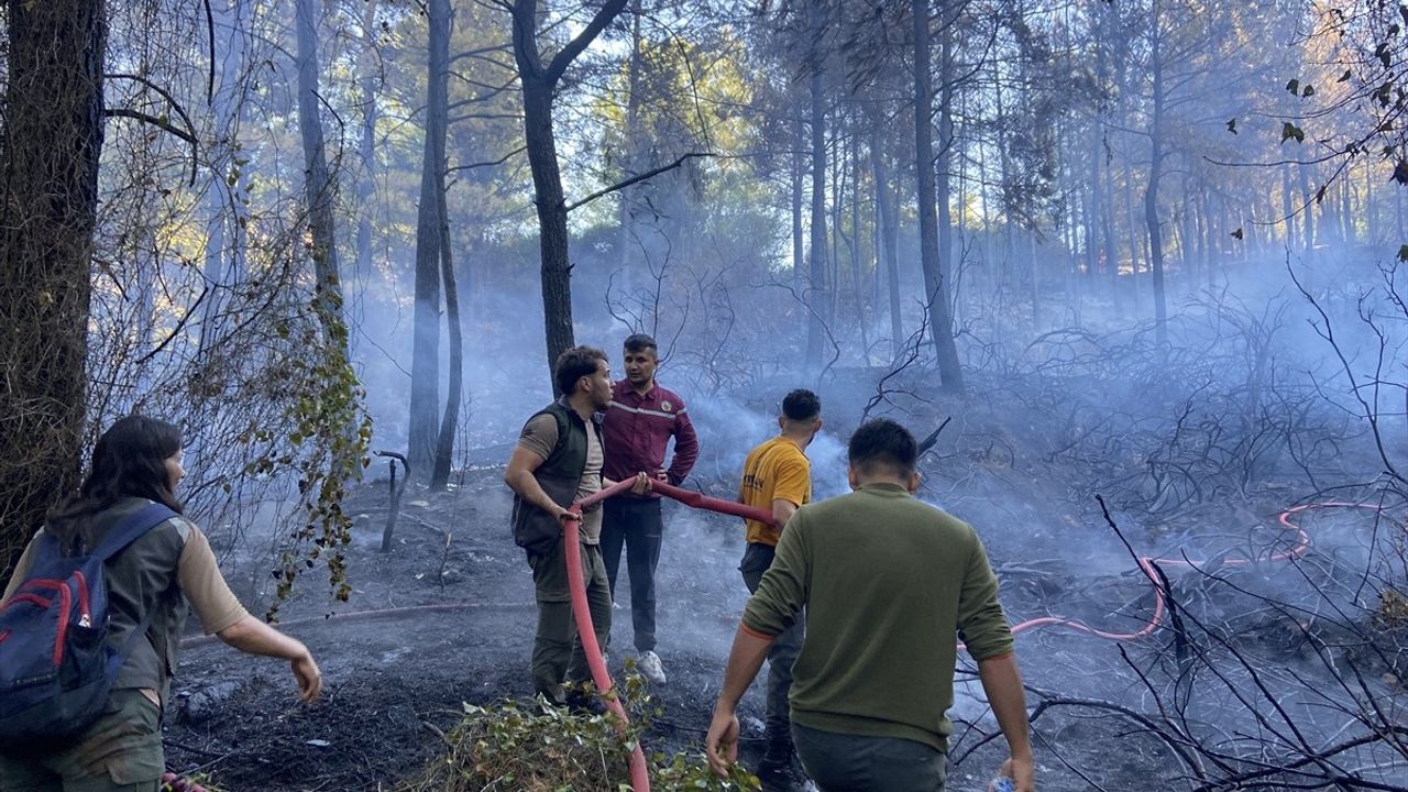 Dalaman'daki Orman Yangınına Müdahale Devam Ediyor