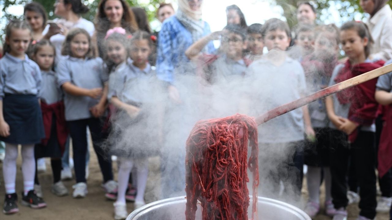 Edirne Kırmızısının Hasat Etkinliği Gerçekleşti