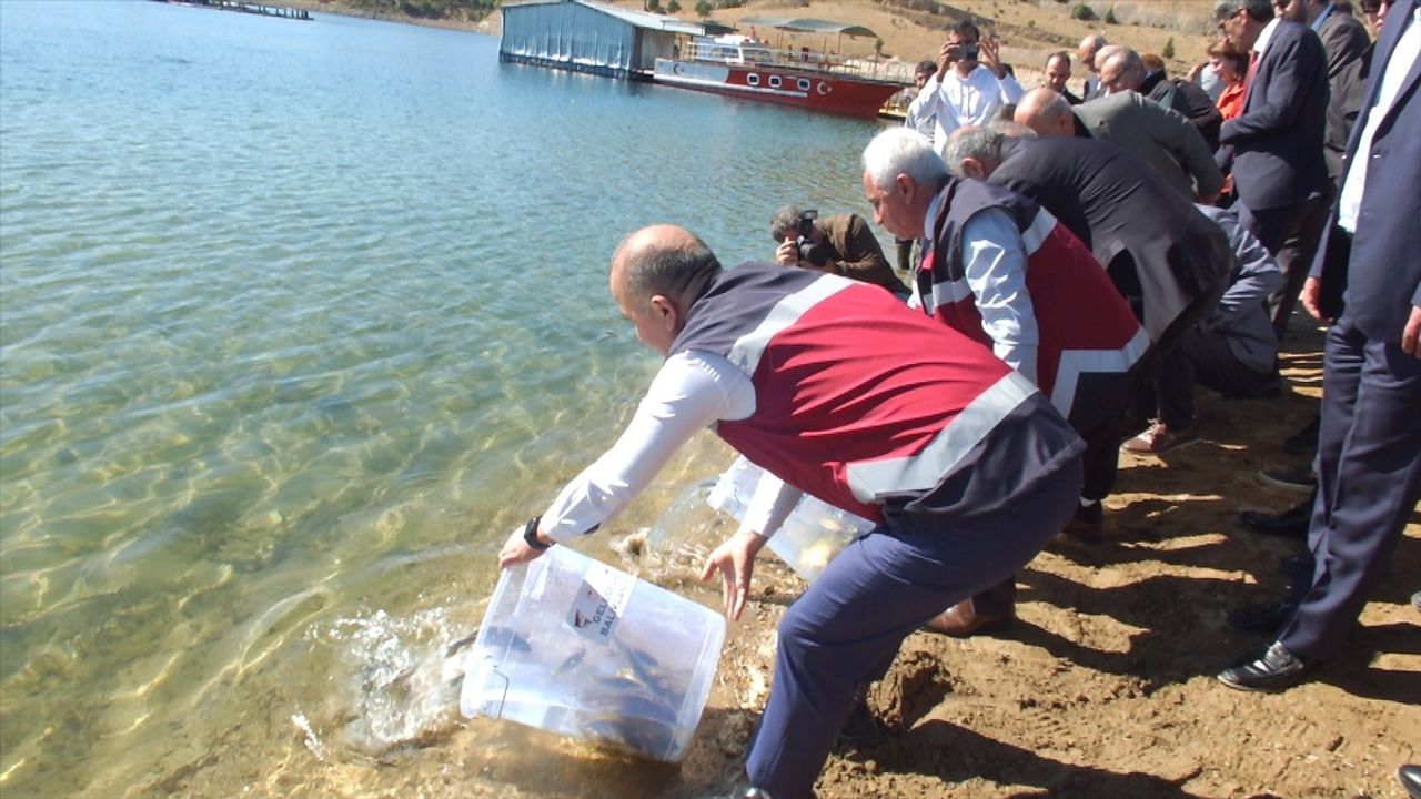 Elazığ'da 3 Milyon Sazan Yavrusu Su Kaynaklarına Bırakılıyor