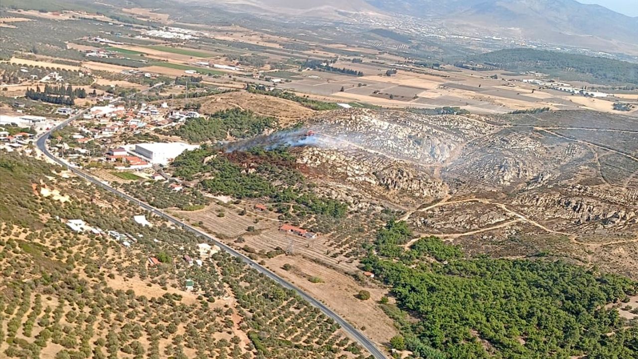 Foça'da Orman Yangınına Hızla Müdahale