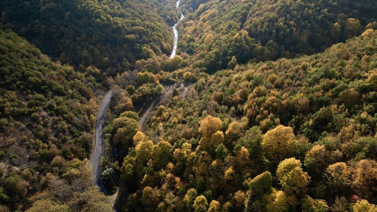 Ganos Dağı'ndaki Ormanlar Sonbaharın Renkleriyle Doldudu