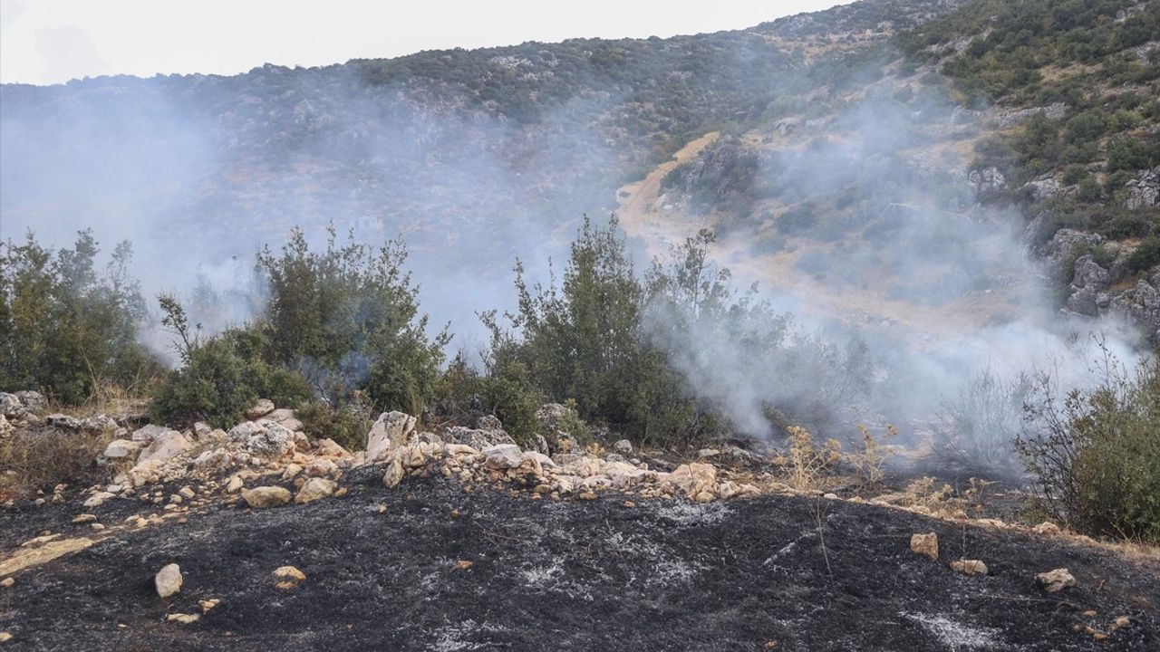 Gaziantep'te Orman Yangını Kontrol Altına Alındı