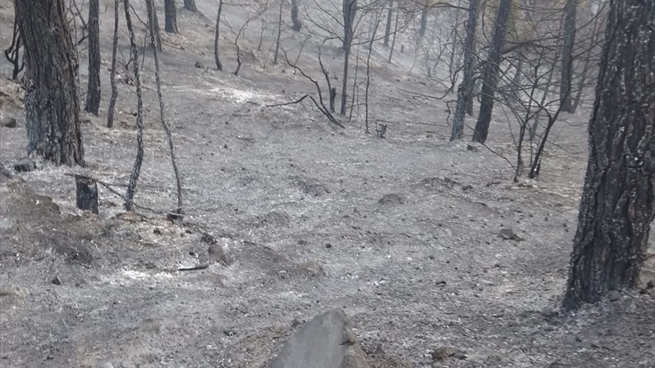 Gaziantep'teki Yangın Kontrol Altına Alındı