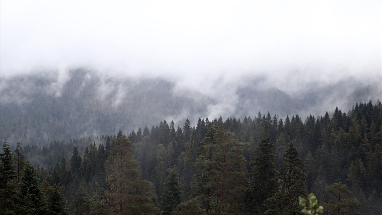 Ilgaz Dağı'nda Sis Hava Koşullarını Etkiliyor