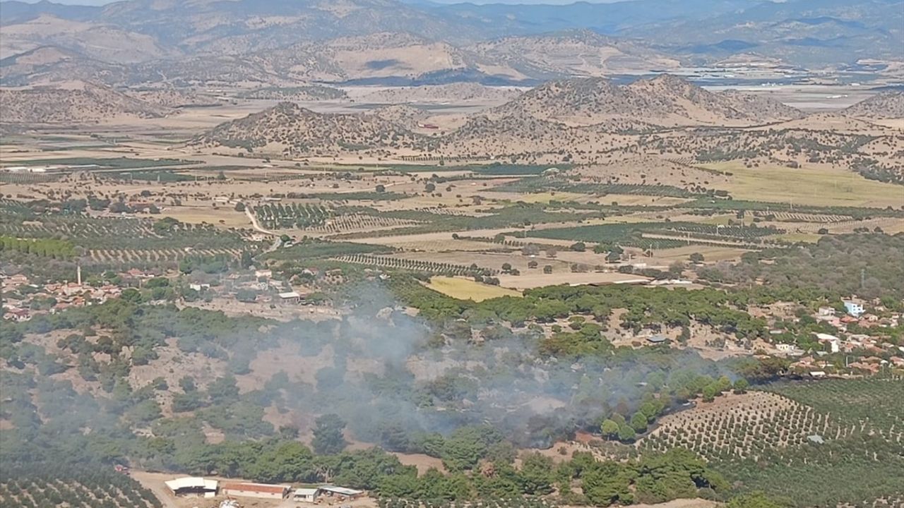 İzmir'in Dikili İlçesinde Tarım Arazisinde Yangın Çıktı