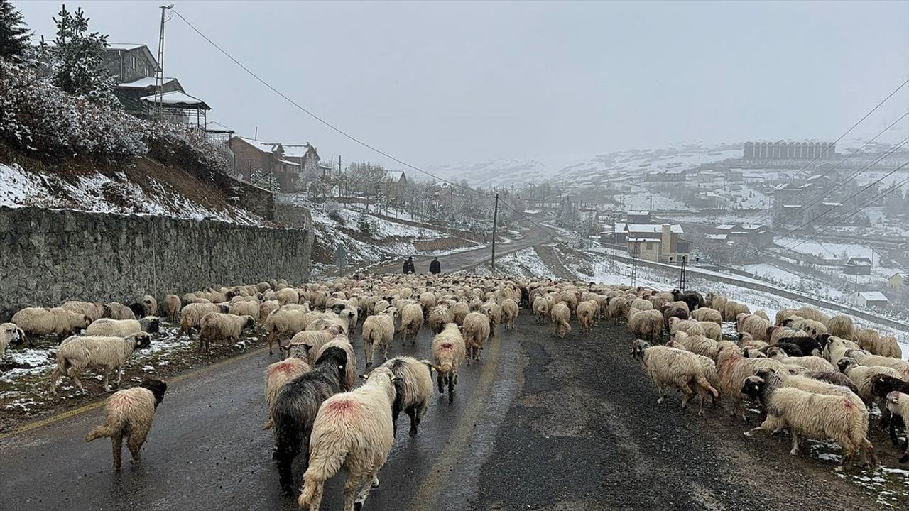 Karadeniz Bölgesi'nde Yüksek Kesimlere Kar Düştü