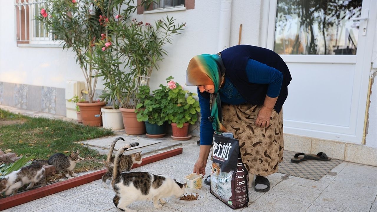 Kayseri'de Yaşlı Kadının Kedi Maması Talebi Yerine Getirildi