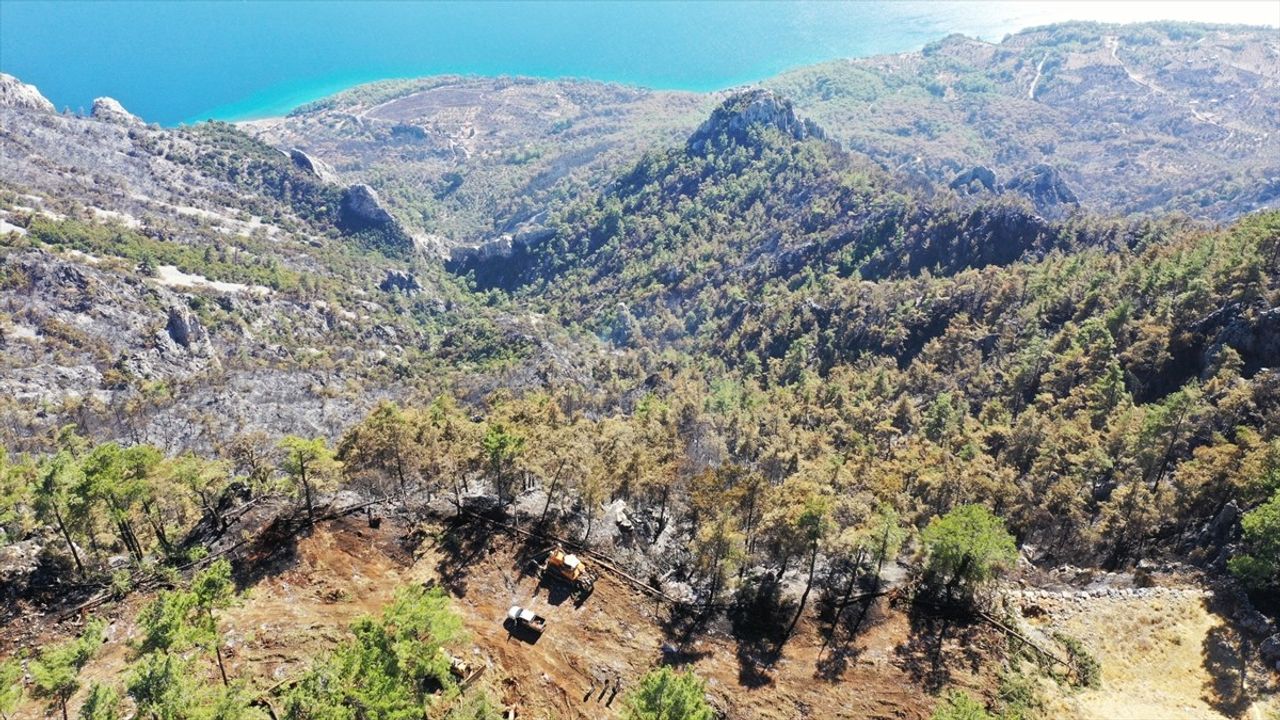 Menteşe'de Orman Yangınına Karşı Mücadele