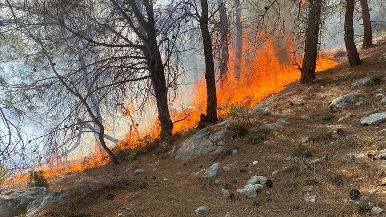 Mersin'deki Orman Yangını Kontrol Altına Alındı