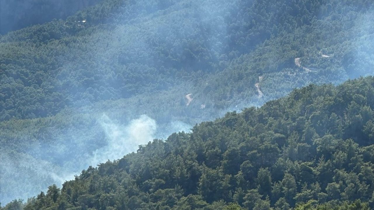 Mersin'deki Orman Yangını Kontrol Altına Alındı