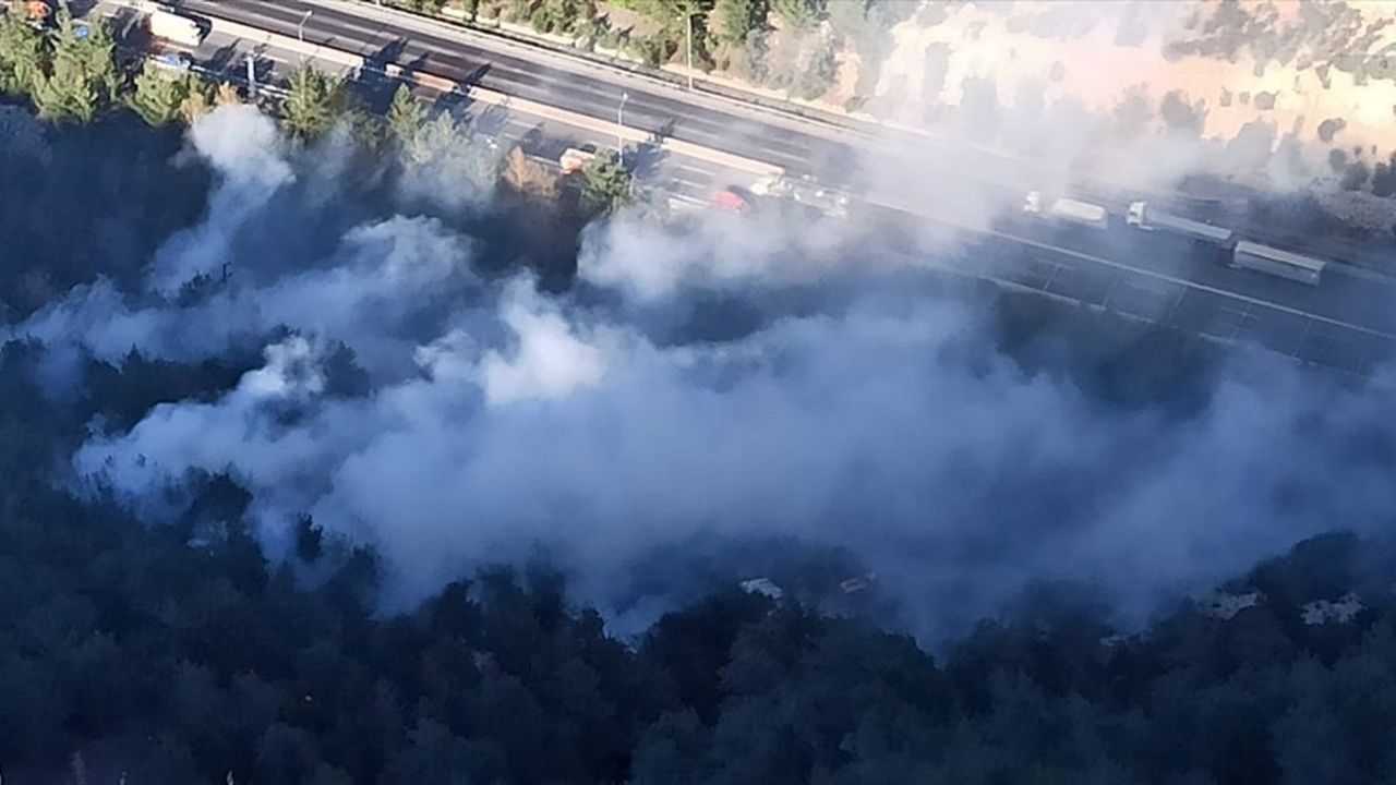 Mersin Tarsus'ta Orman Yangınına Müdahale Başladı