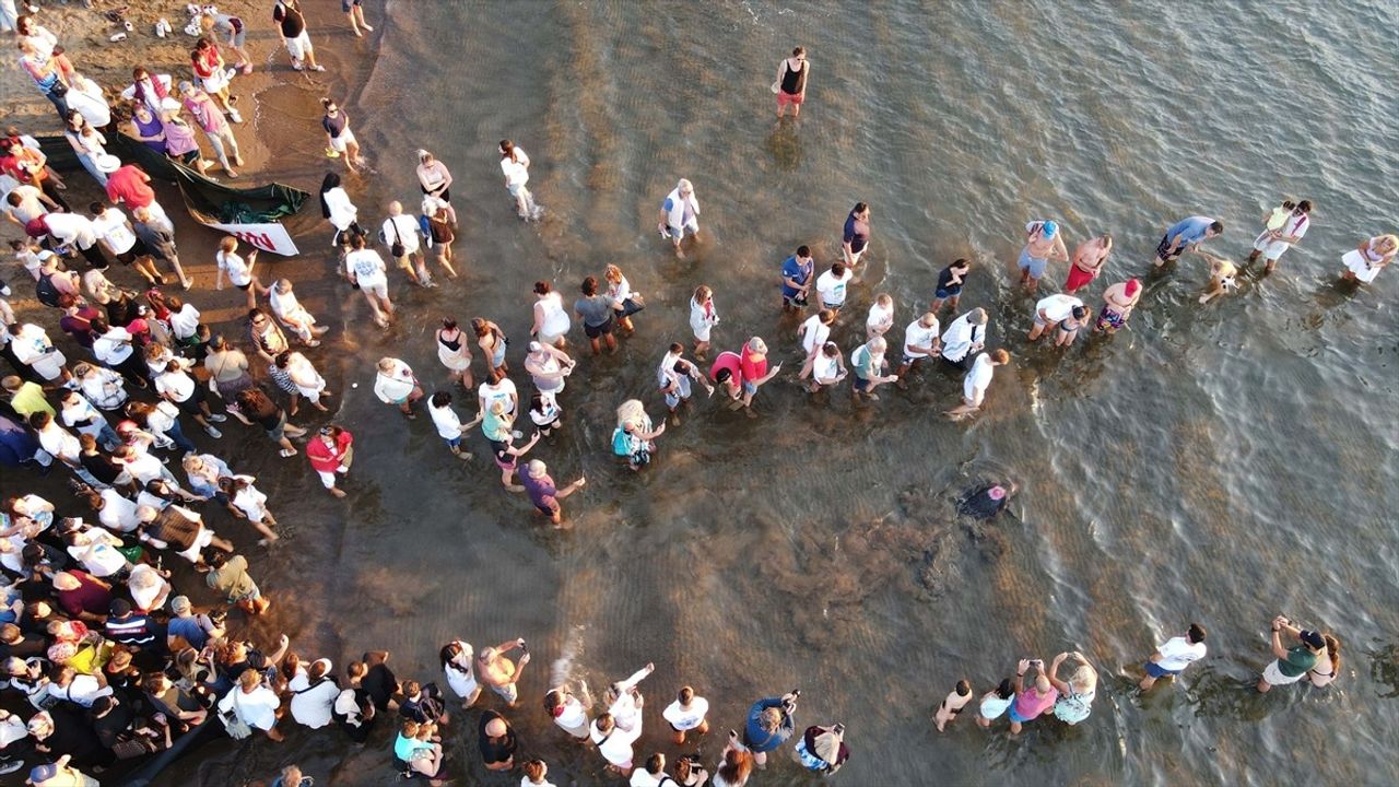 Muğla'da 3 Deniz Kaplumbağası Mavi Sulara Kavuştu