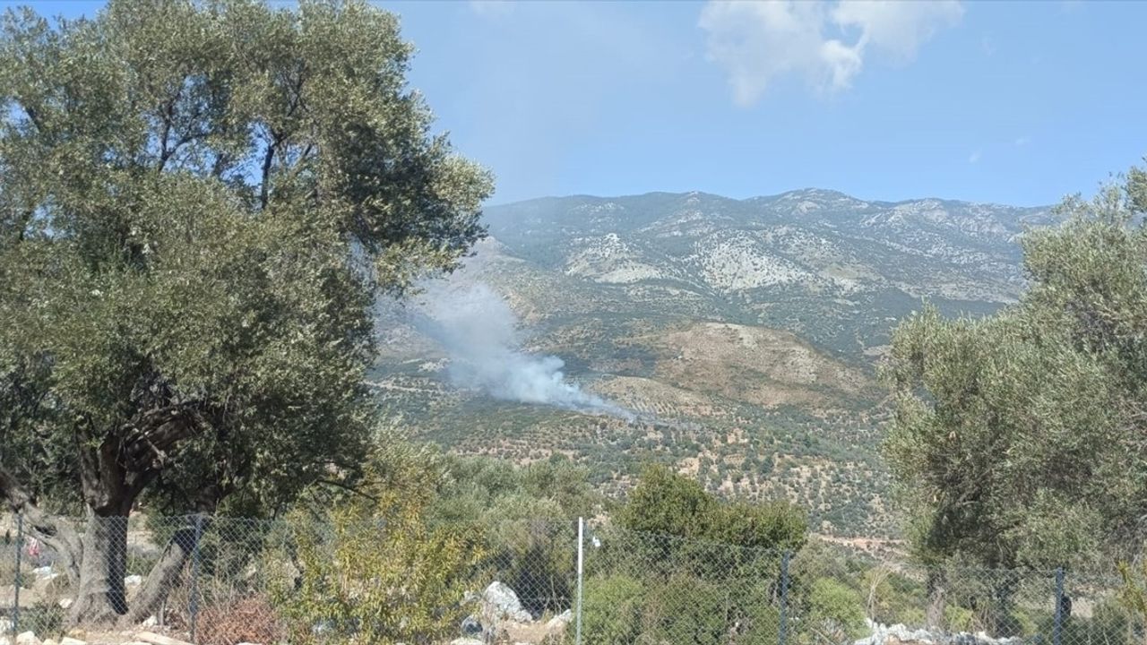 Muğla'da Yangın Felaketi: 2 Hektar Alan Zarar Gördü