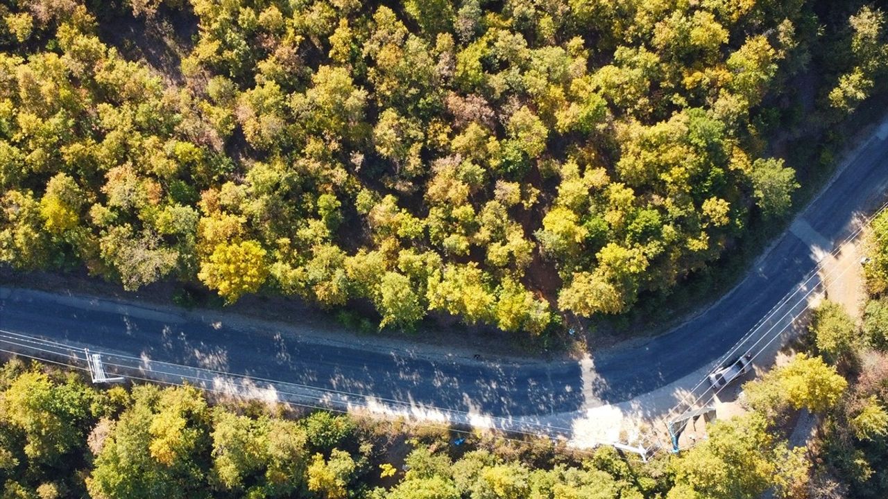 Ovacık Yaylası'nda Sonbahar Güzellikleri