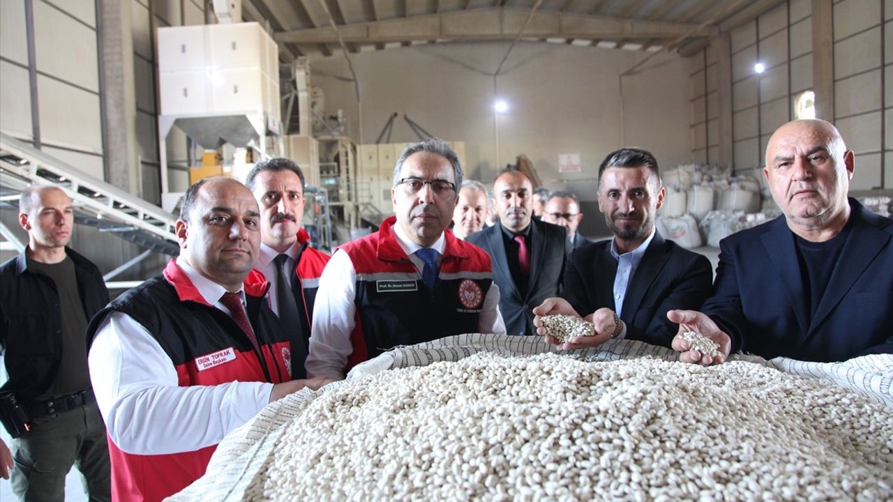 Tarım ve Orman Bakan Yardımcısı Ahmet Gümen, Bitlis'te Tarım ve Hayvancılık Tesislerini İnceledi