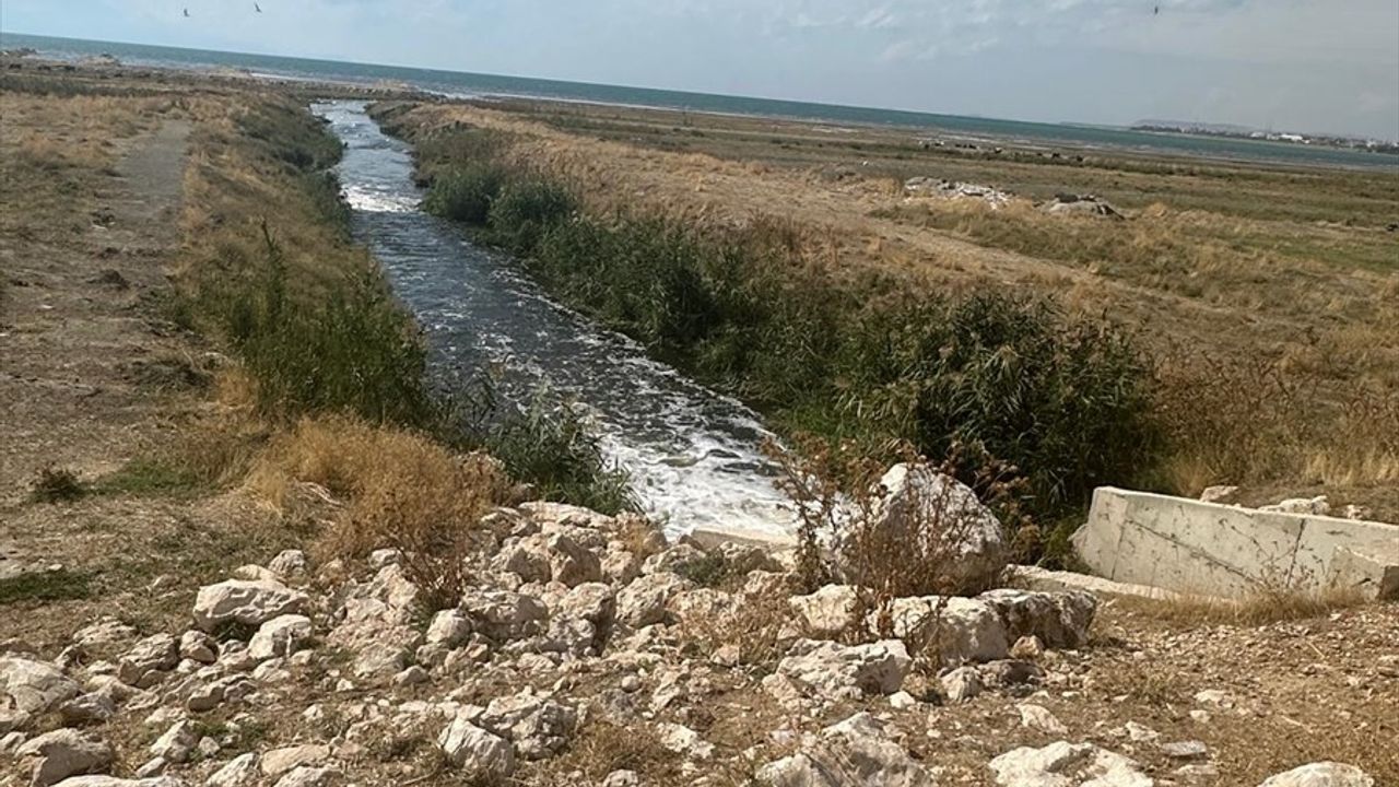 Van Gölü'ne Kaçak Deşarj Yüzünden Büyükşehir Belediyesine Ceza