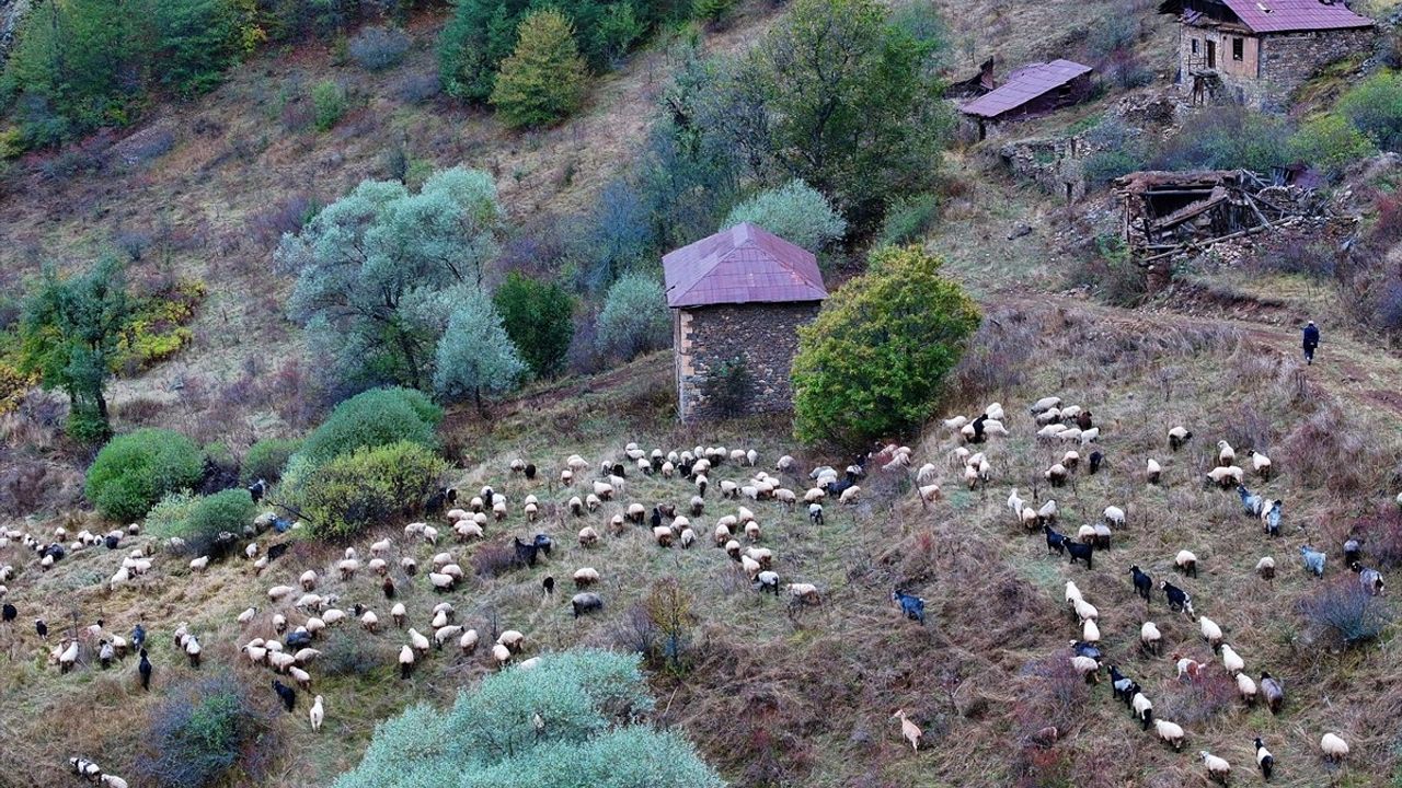 Zigana Dağı'nda Sonbaharın Renk Cümbüşü