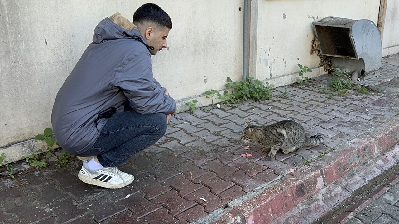 Adana'da Kedi Öğle Yemeğini Çaldı