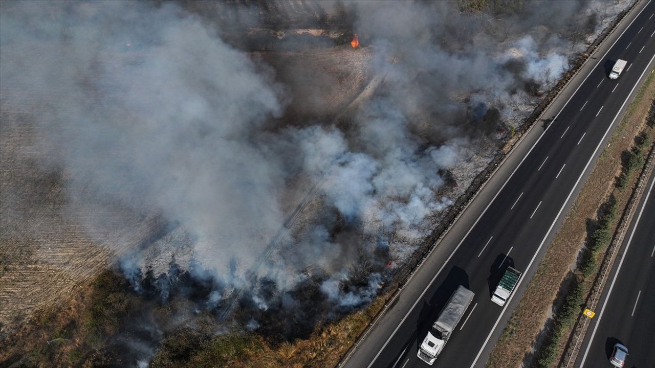 Adana'da Otoyol Kenarında Yangın Kontrol Altına Alındı