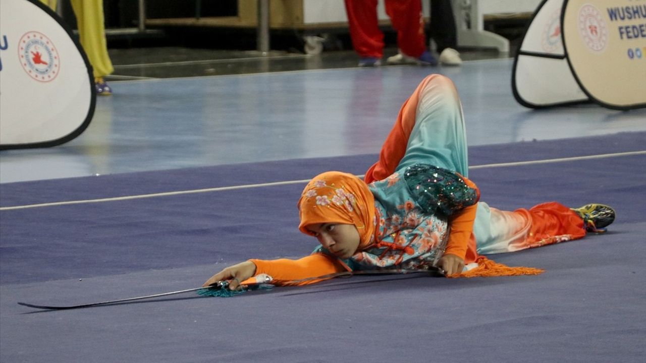 Akyüz Kardeşler, Wushu'da Yeni Hedefler Peşinde