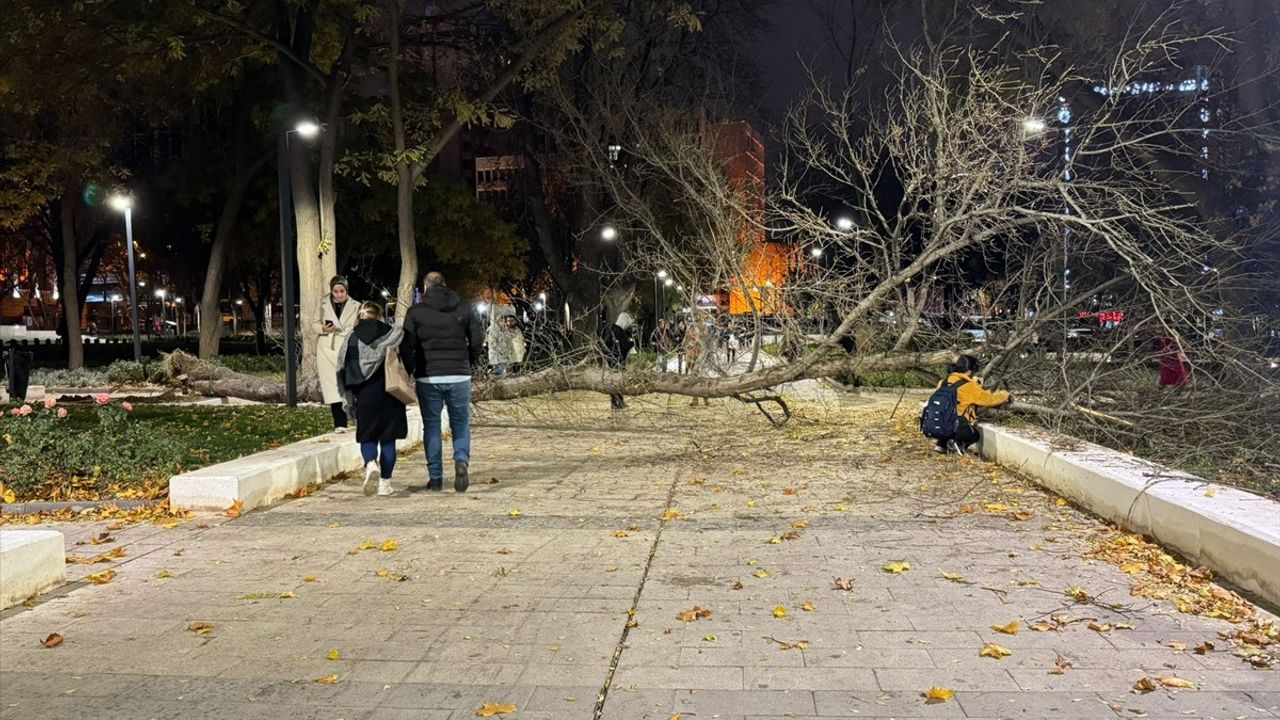 Ankara'da Şiddetli Rüzgar Ağaç Devrilmesine Neden Oldu