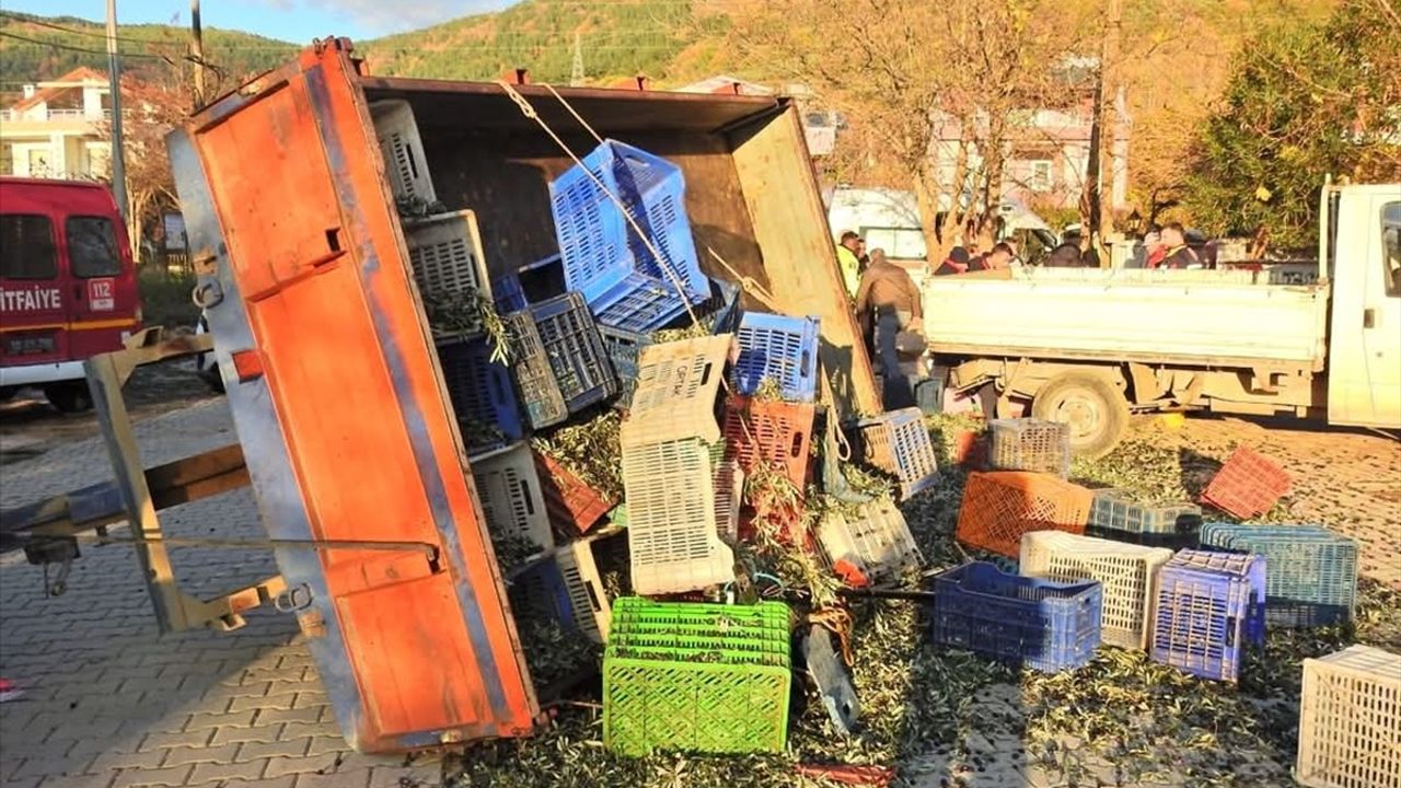 Balıkesir'de Zeytin İşçilerini Taşıyan Traktör Römorku Devrildi