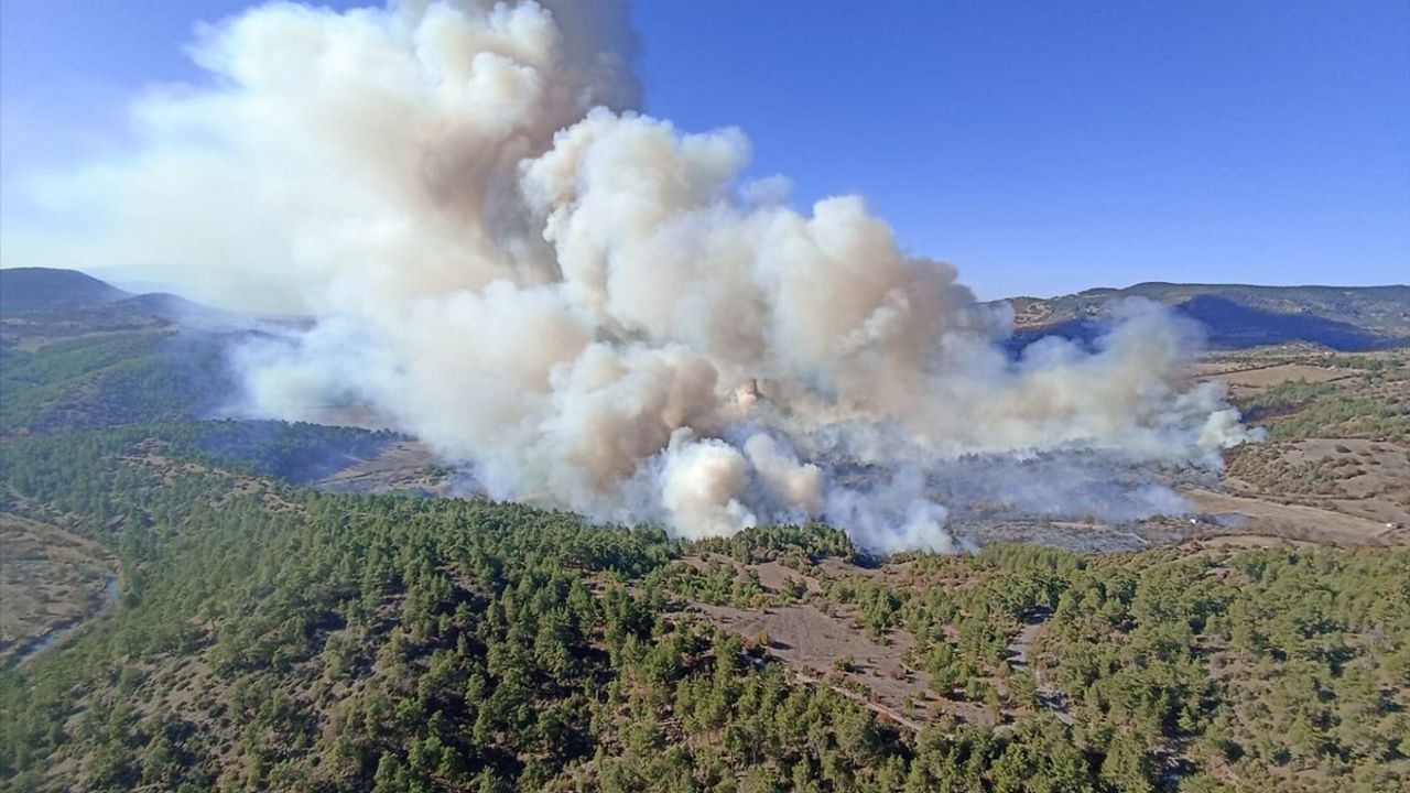 Bursa'da Orman Yangınlarına Mücadele