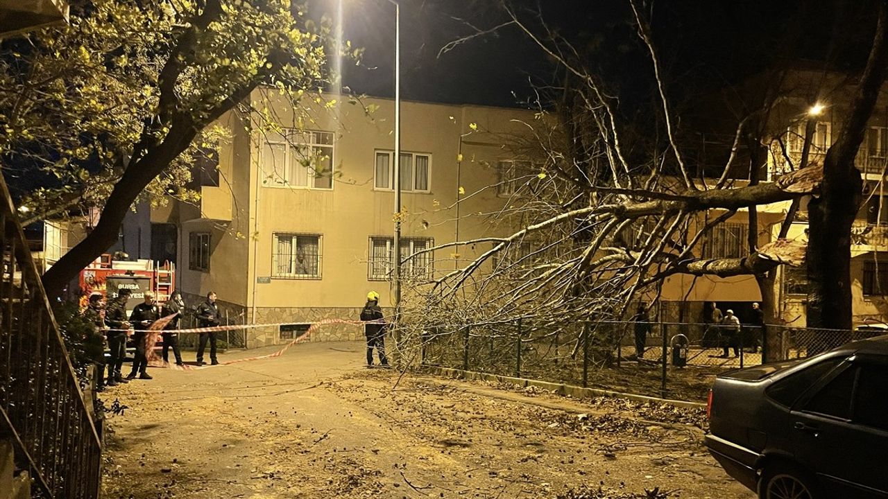 Bursa'da Şiddetli Fırtına Moliere Oldu