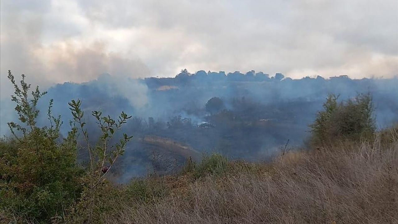 Çanakkale Biga'da Orman Yangınına Müdahale Ediliyor