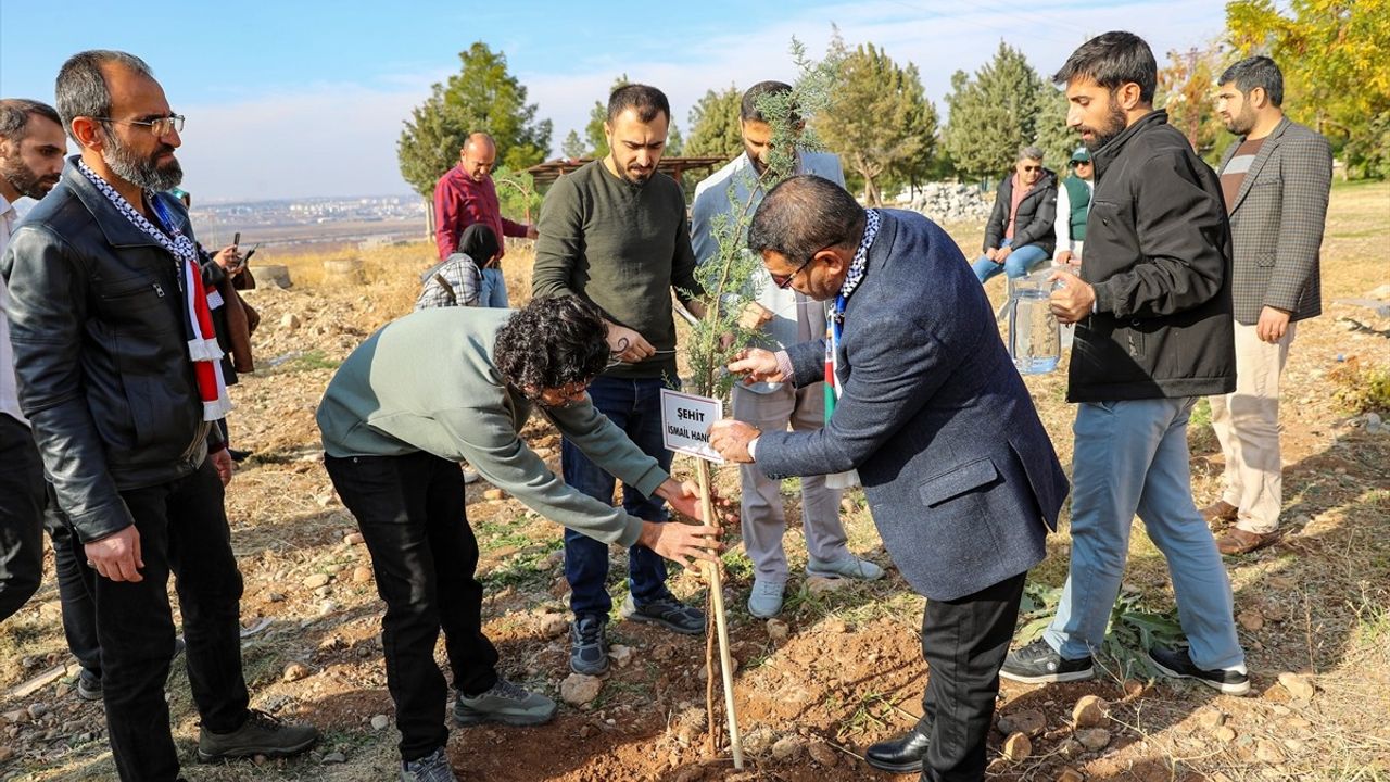 Diyarbakır'da Filistinli Şehitler İçin Fidan Dikimi