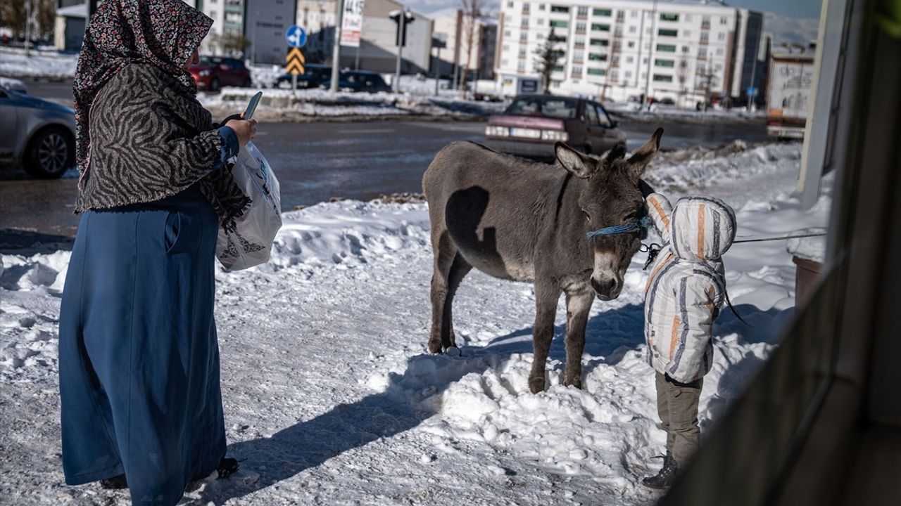 Erzurum'da Taksiciler Severek Sahip Çıktı