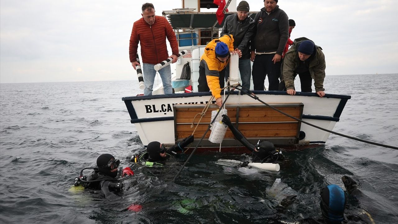 Gelibolu Sualtı Parkı'nda 400 Istakoz Salındı