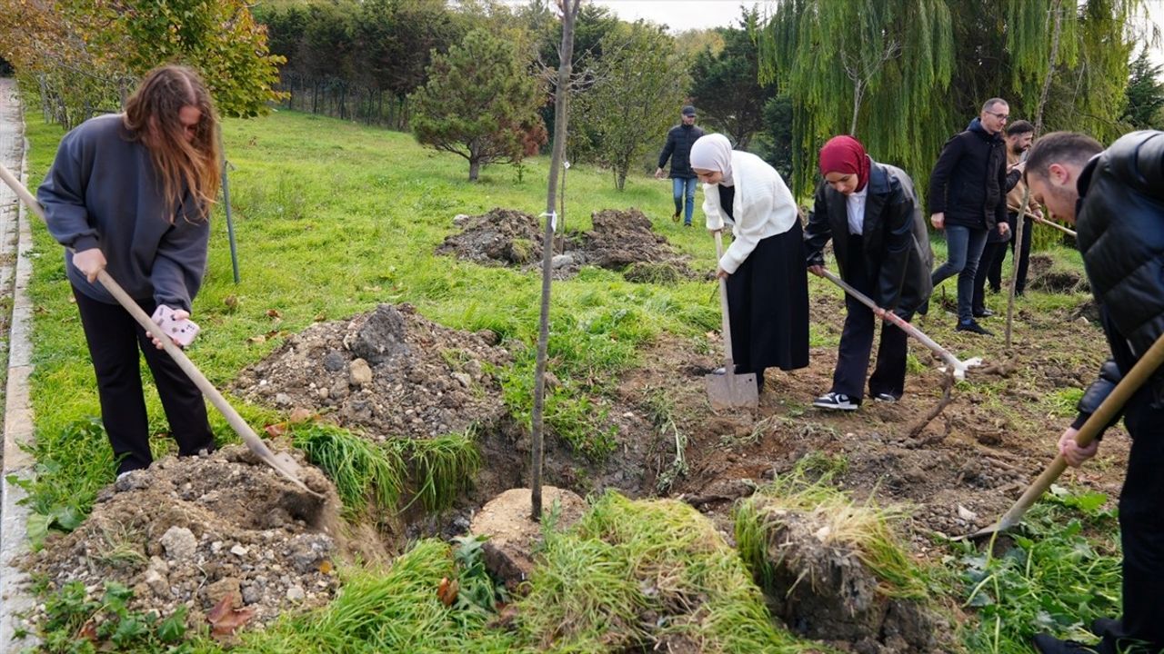 İstanbul Üniversitesi-Cerrahpaşa'da 1071 Fidan Dikimi