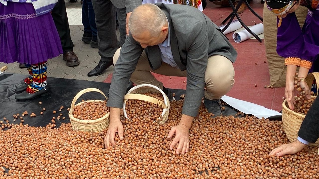 Kadıköy'de Fındık Festivali: Yöresel Rüzgar