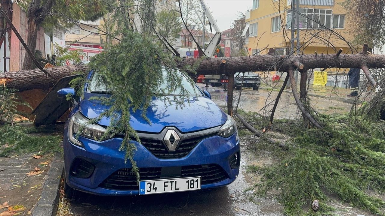 Kartal'da Ağaç Devrildi, Park Halindeki Araç Hasar Gördü