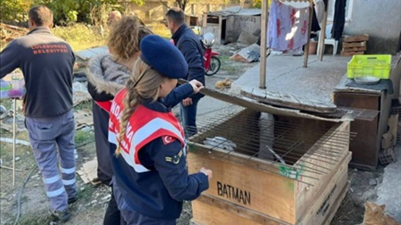 Kırklareli'nde Yasaklı Irk Köpek Beslemeye Büyük Ceza