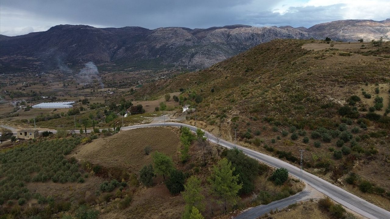 Manavgat'ta Orman Yangınından Sonra Sonbahar Renkleri