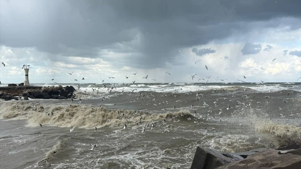 Sakarya'da Olumsuz Hava Koşulları Balıkçılığı Vurdu